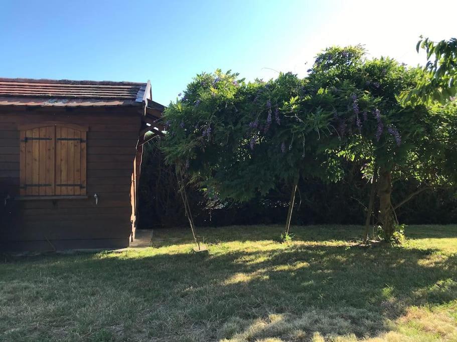 Comme Chez Mamie, Maison Entiere 1-6 Personnes 阿尔比让 外观 照片